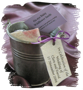 seeds and bucket